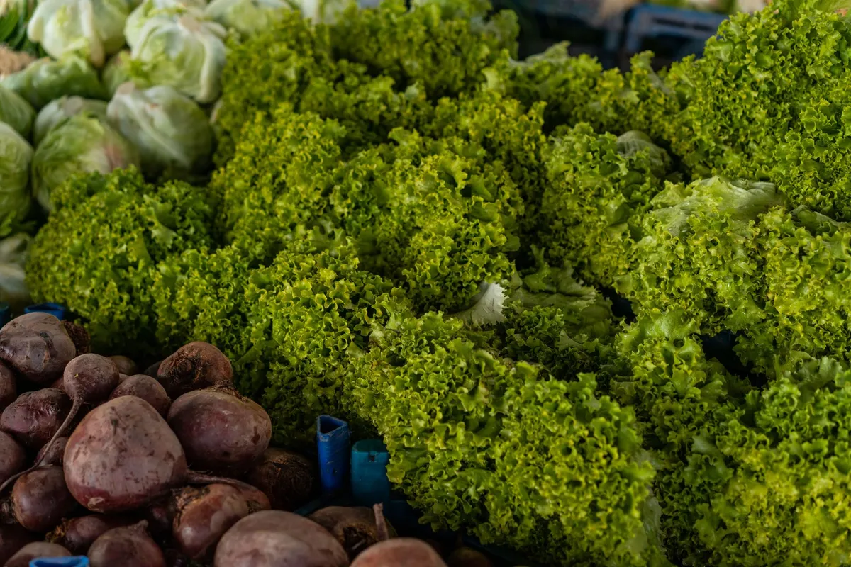 Alimentation et climat : ce qui pèse dans l'assiette